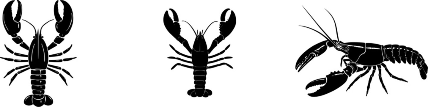 A stunning ultra-realistic photograph of a single raw Marron crayfish, showcasing its deep blue or black large shell against a pure white background, captures the intricate details and vibrant