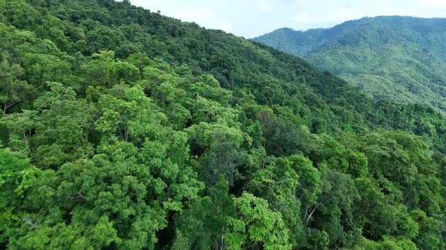 Aerial drone shot over primary Jungle tropical rain forest in Nan, Thailand. Aerial view, moving over a rainforest tree canopy in a slow pace beautiful green nature background of a tropical forest.	