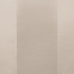 Fototapeta premium Elegant textured beige stripes background