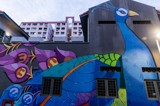 Various views of Little India in Singapore 
