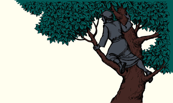 Vector drawing. Zacchaeus on the tree