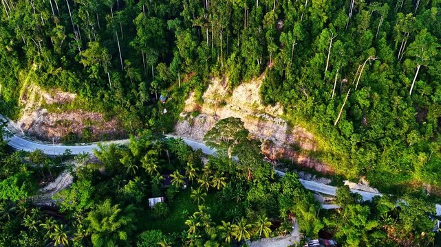A winding road cutting through lush tropical forest, showcasing vibrant greenery.