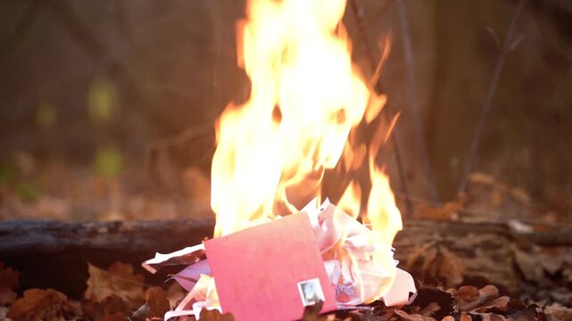 Closeup photo of male adventurer lighting up a campfire with small lighter Close view of man igniting prepared paper with a lighter to build fire in wet woodland environment, bushcraft skill in action