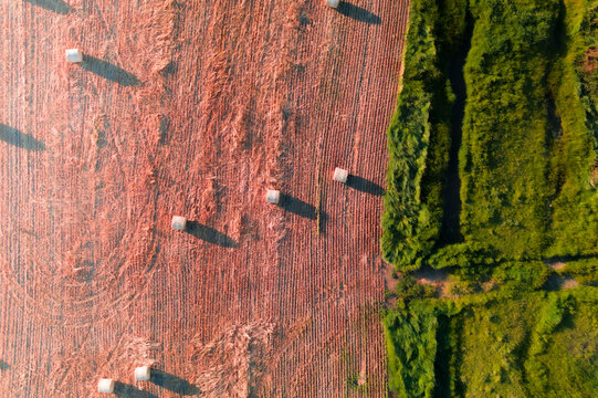 Aerial view of fields of contrasting red and green hues, dotted with hay bales in the countryside, Cape Town, Western Cape, South Africa.