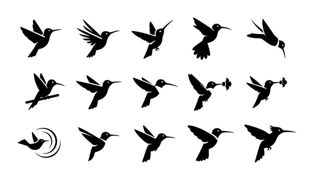 Minimalist hummingbird silhouette icons, set of 15 black bird vector graphics, flying colibri symbols for logo design and branding