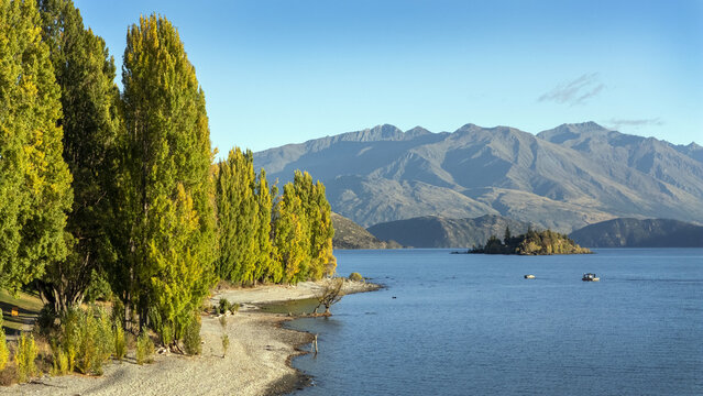 Aerial view of golden-leaved trees lining a serene beach against the backdrop of majestic mountains and Ruby Island in Lake Wanaka, Wanaka, Otago Region, New Zealand.