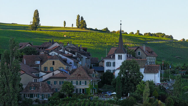 Aerial view of quaint village nestled amidst rolling green vineyards, dominated by a church steeple, Fechy, Vaud, Switzerland.