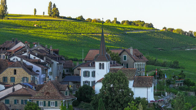 Aerial view of a charming village nestled amongst verdant vineyards, with a church steeple piercing the skyline under the warm glow of sunlight, Fechy, Vaud, Switzerland.
