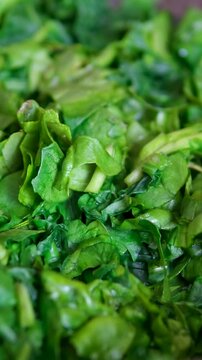 The process of washing and stewing spinach: wash men's hands under water, cut into pieces, throw in a frying pan, stir, prepare for freezing, make spinach pie