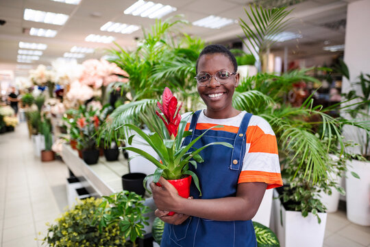 Young florist holding a guzmania lingulata plant, smiling and looking at camera