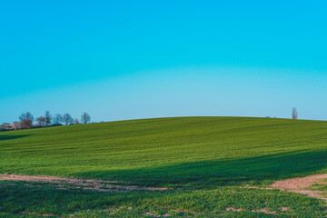 Naklejka premium green field in the hills