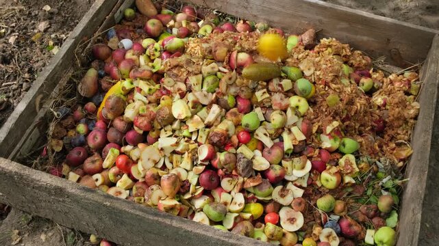Colorful Food Waste Compost Top View Eco Recycling Concept. Organic Compost with Fruits and Vegetables Sustainable Living Concept. Food Waste Decomposition Natural Composting Eco Lifestyle