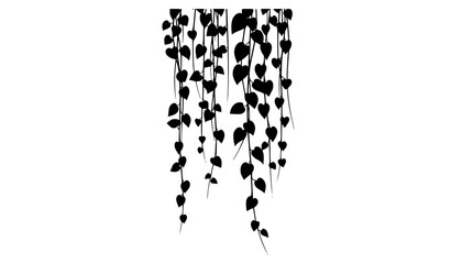 Tropical vine silhouette vector side view plant jungle foliage illustration © Songkari