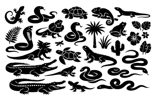Comprehensive collection of black reptile and amphibian silhouettes featuring snakes, lizards, turtles, crocodiles, chameleons, frogs, and tropical plants like palm trees on white background.