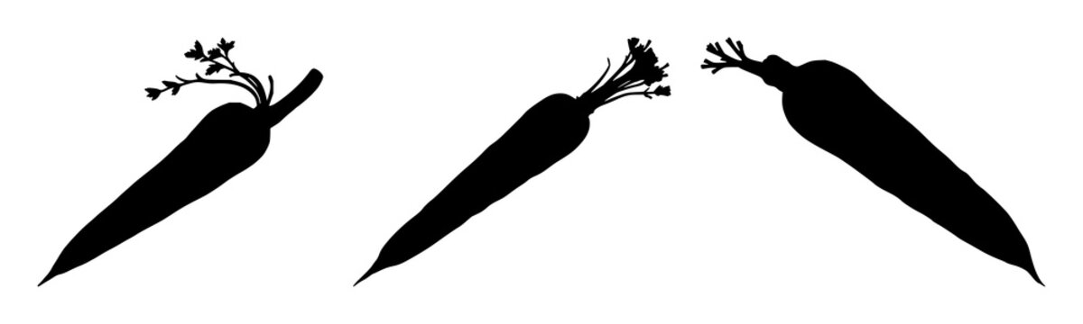 Carrot set with single black silhouette on spotless white background featuring carrot, vegetable illustration, simple line drawing with botanical and monochrome art