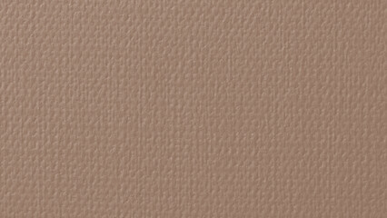 Beaver brown plain background © Rawpixel.com