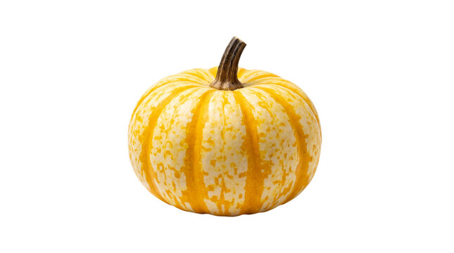 A small yellow pumpkin on transparent background