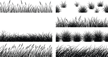 Wild grass silhouettes collection featuring meadow plants, natural vegetation borders, black vector illustration set for landscape and outdoor design © SHOJEB