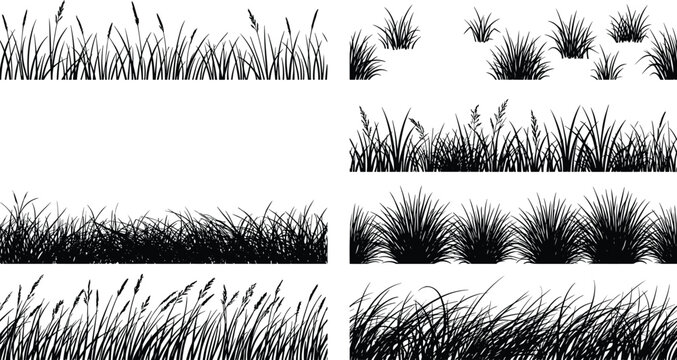 Wild grass silhouettes collection featuring meadow plants, natural vegetation borders, black vector illustration set for landscape and outdoor design