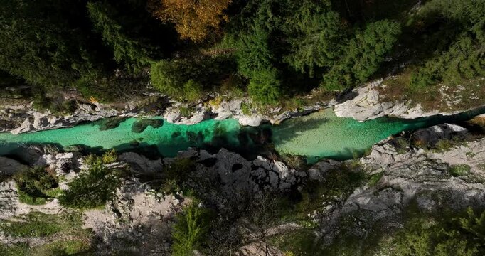Top down aerial view of the Soca River with vivid turquoise water cutting through a narrow rocky canyon surrounded by dense forest near Bovec, Slovenia