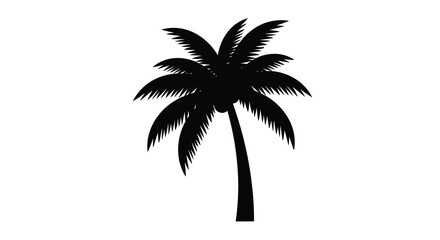A silhouetted palm tree stands against a stark white background © MSTMAJEDA