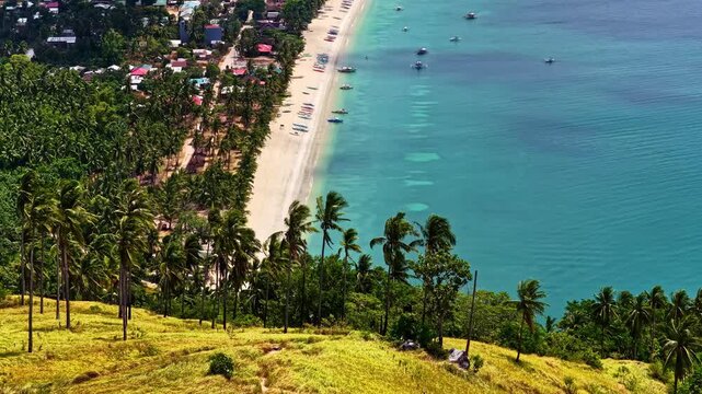 Palm Trees On Bato ni Ningning, Popular Viewpoint In San Vicente, Palawan, Philippines. Aerial Shot