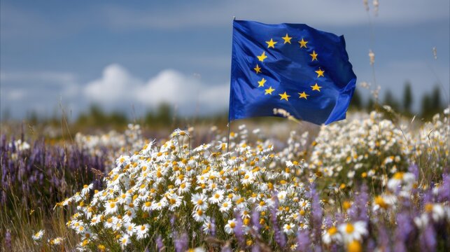 European Union flag waving in a field of flowers under blue sky in spring