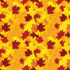 Fototapeta premium Colorful maple leaf pattern background texture.