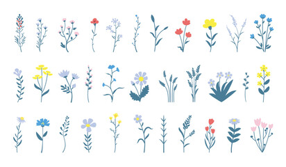 Wild small flowers vector set. Wildflowers botanical collection. Spring floral hand drawn elements. © Dora Adora