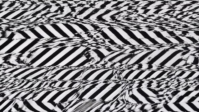Black and white zebra pattern fills the frame with optical illusion