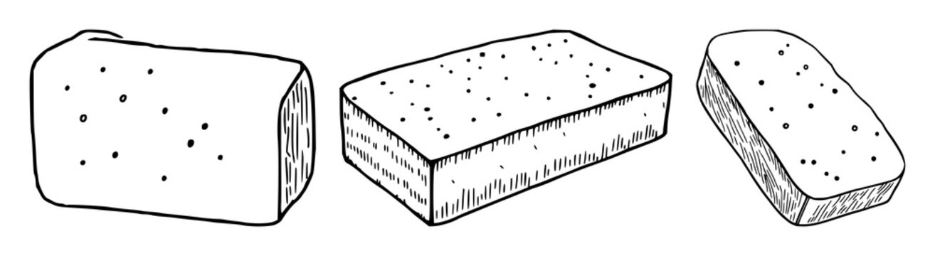 Kitchen sponge set with black line art on white background featuring cleaning, household, laundry with simple illustration and vector