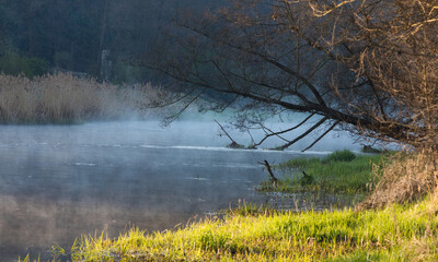 Mgła unosząca się nad rzeką o poranku © kubikactive
