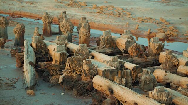 Close up view of weathered wooden pier ruins covered in salt. Warm sunset light highlights abstract textures of old wood and mineral crystals on shore of salt lake