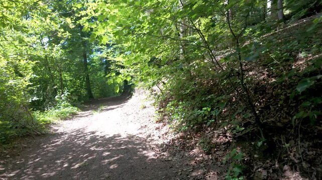 POV Walking Through Lush Green Forest Trail in Summer - Peaceful Nature Path Footage