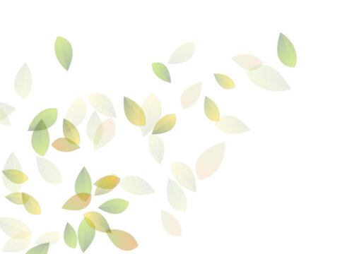 Summer background with flying green leaves on white background. Vector seasonal design