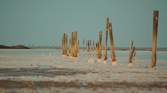 Calm landscape of salt flat with old wooden pillars receding into distance. Soft sunset light on white salt crystals and calm water. Minimalist, tranquil scene with muted colors and clear sky