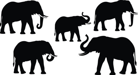 Obraz premium Elephant silhouette collection showing diverse wild animals in black shape isolated on a white background