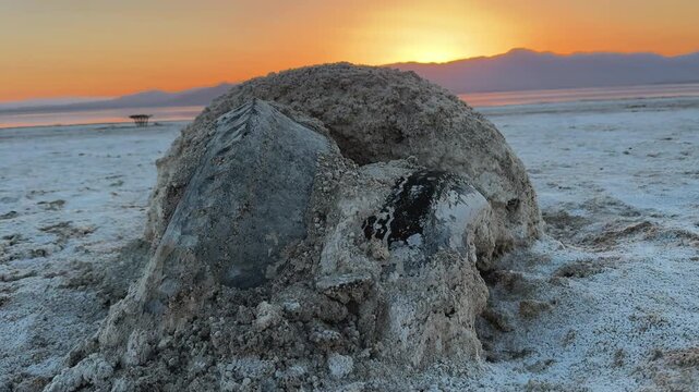 Salt-encrusted formations at Salton Sea during sunset in Mojave desert. Ideal for climate change, environmental decay and surreal landscape.