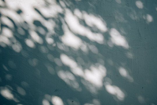 Beige aesthetic neutral background, summer tropical shadow on stucco wall texture. Minimalist boho and wabi sabi wallpaper. Coastal abstract pattern.