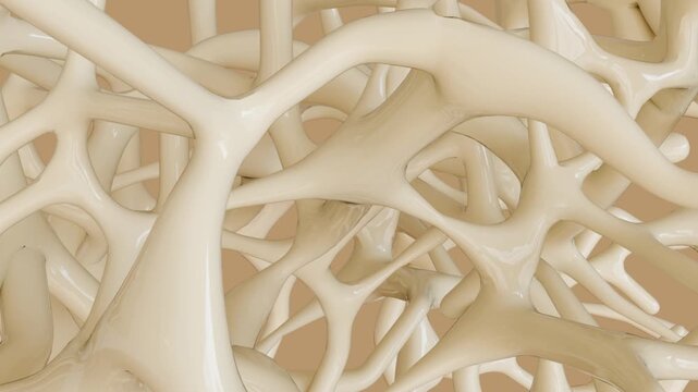 A 3d animation of camera tracks through a dense labyrinth of internal bone trabeculae, revealing the entire internal network seem vast and intricately connected.