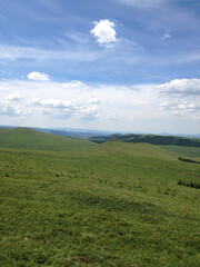 Fototapeta premium Vast green grassland under a blue sky with white clouds