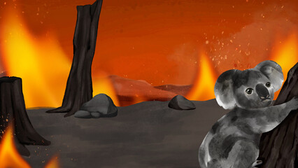 Koala, bushfire desktop wallpaper background © Rawpixel.com