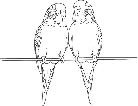 Two green parakeets perched on a thin wire line birds