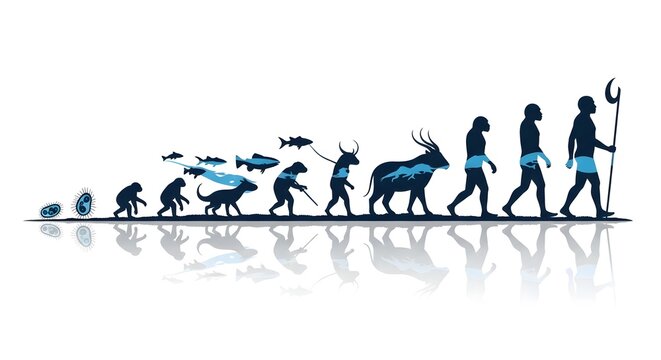 Illustration of Human Evolution from Early Ancestors to Modern Man.