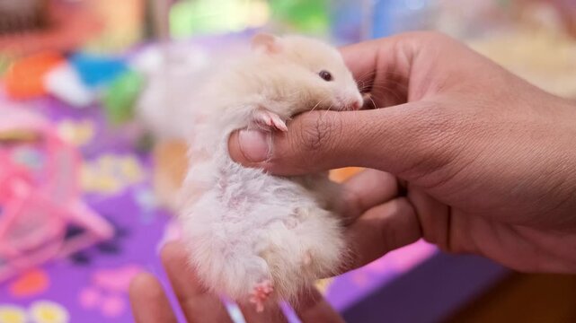 Caught Red-Handed! The Great Escape, Escaping the Giant! A Tiny Rat&rsquo;s Struggle,