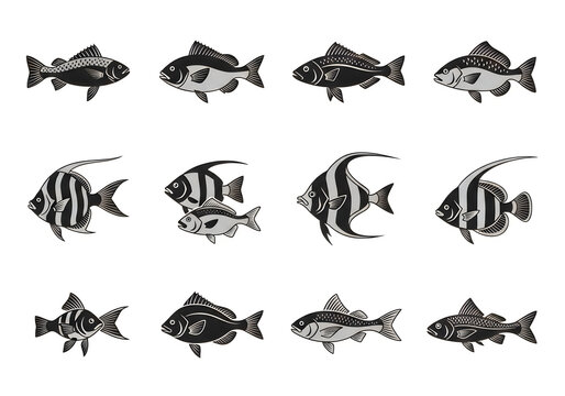 Diverse collection of stylized fish illustrations in monochrome design