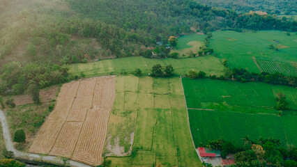 Aerial View of Rice Fields and Tropical Farmland in Siniloan, Laguna, Rural Philippines Agriculture Landscape with Green Crops and Harvested Patches © Gids Stories