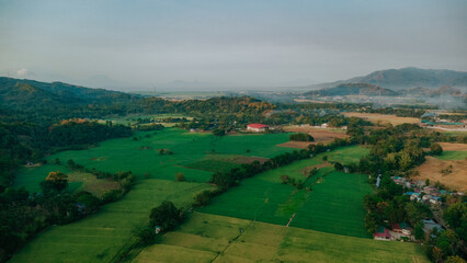 Aerial view of lush green rice fields and rural landscape in Siniloan, Laguna, Philippines © Gids Stories