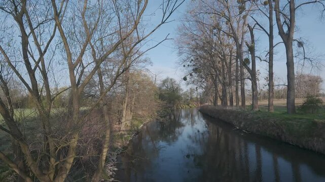 Spring view of the Opava River at sunrise. Peaceful river flowing through trees in soft morning sunlight, creating a fresh natural landscape background. Perfect for nature, travel.