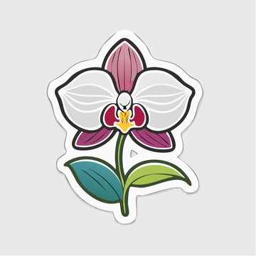 Stylized Orchid Flower Illustration